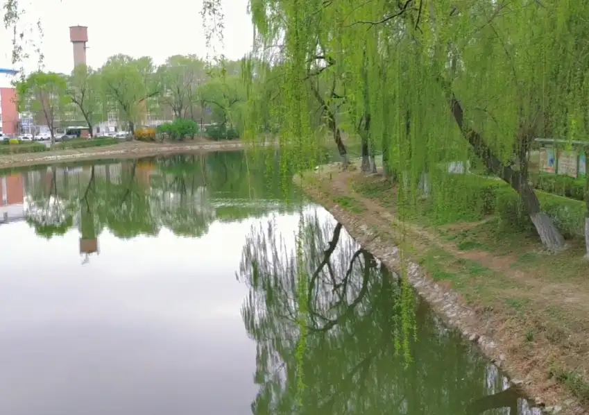 image.webp