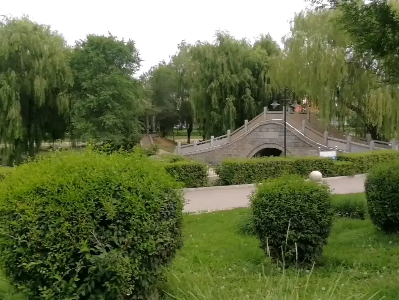image.webp
