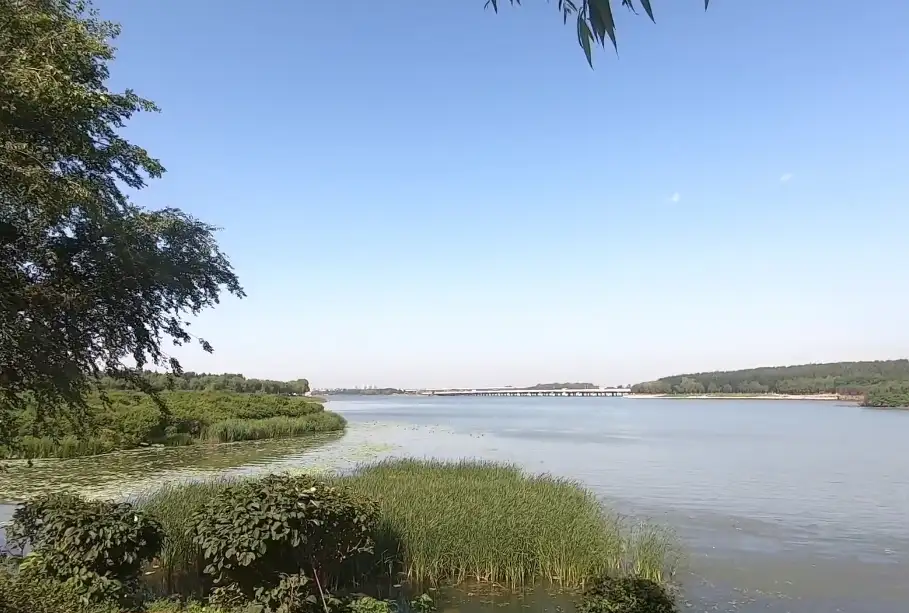image.webp