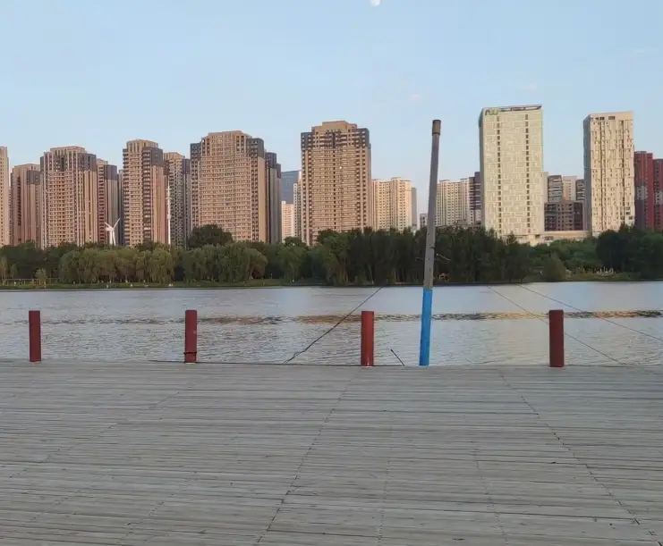 image.webp