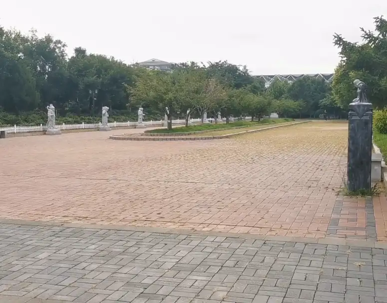 image.webp