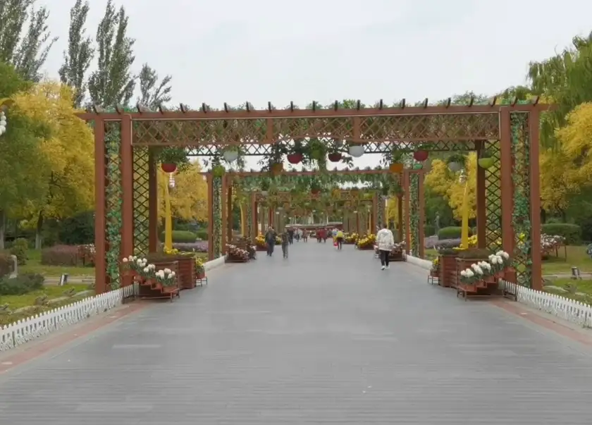 image.webp