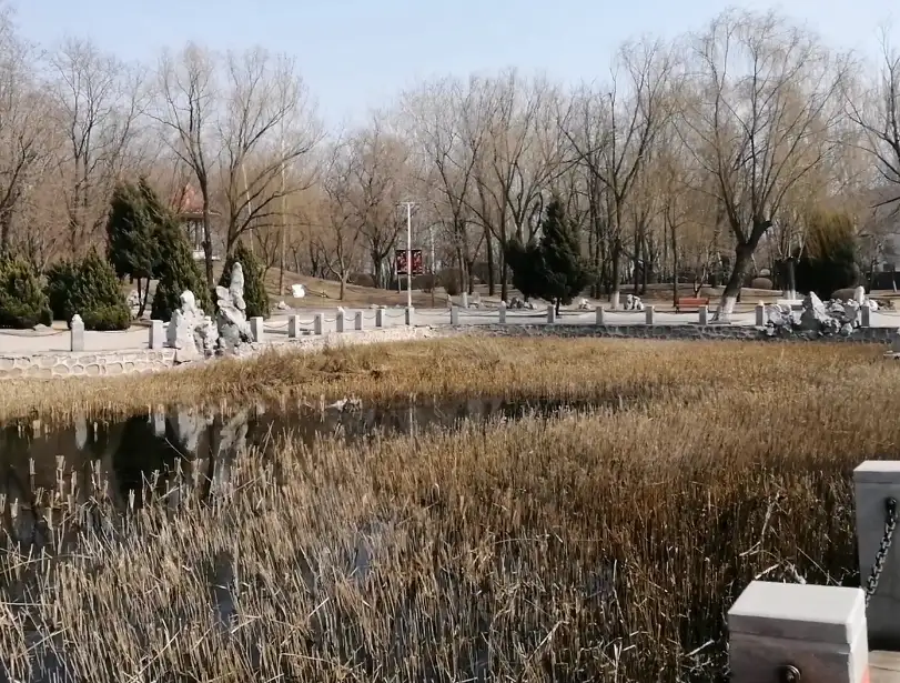 image.webp