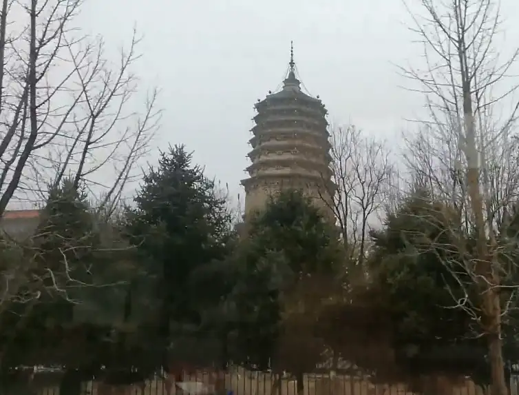 image.webp