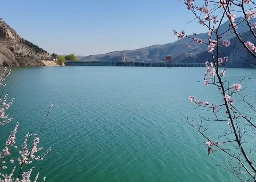 image.webp