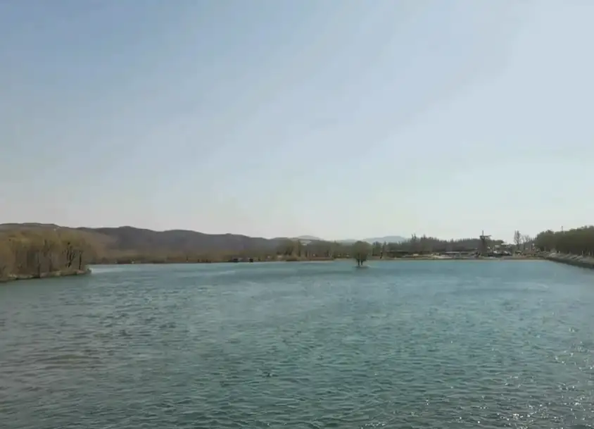 image.webp