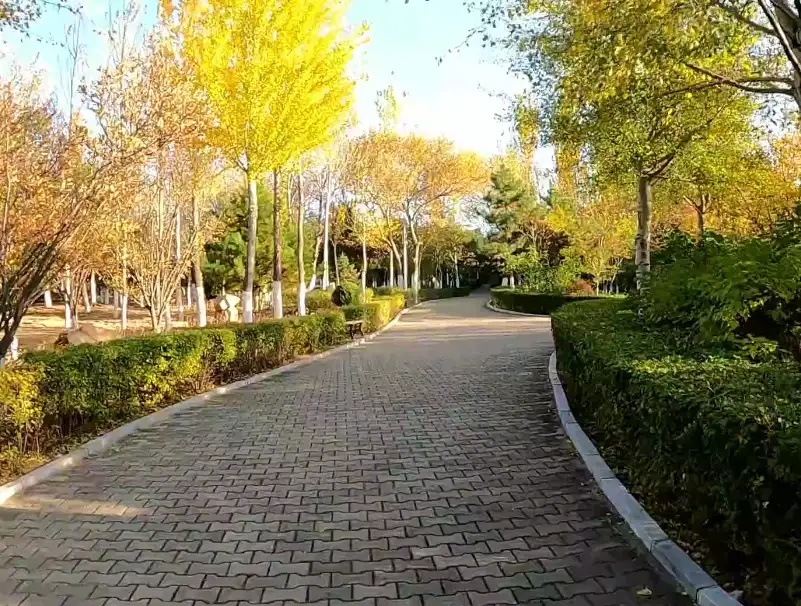 image.webp