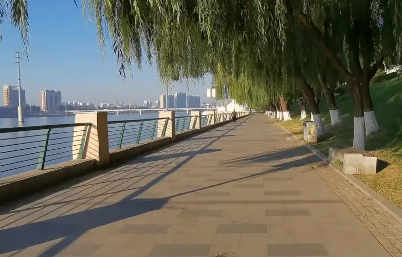 image.webp