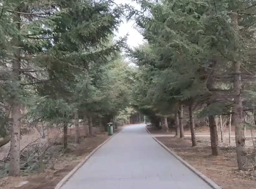 image.webp