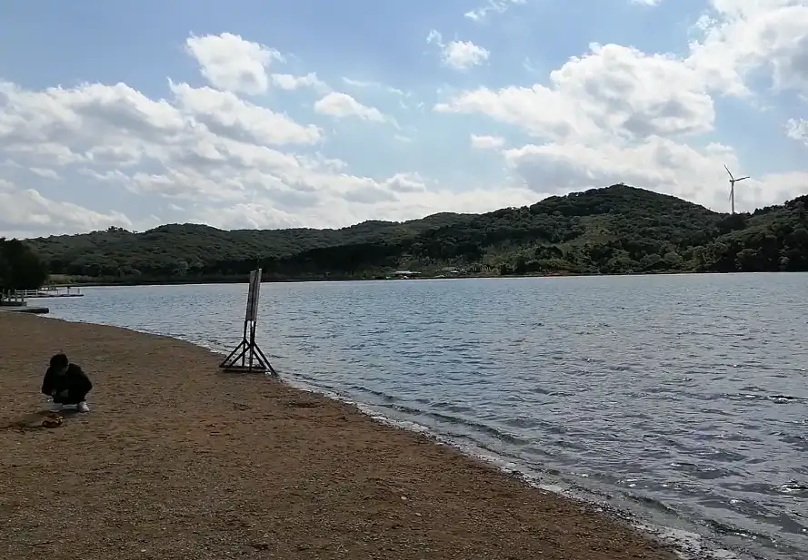 image.webp