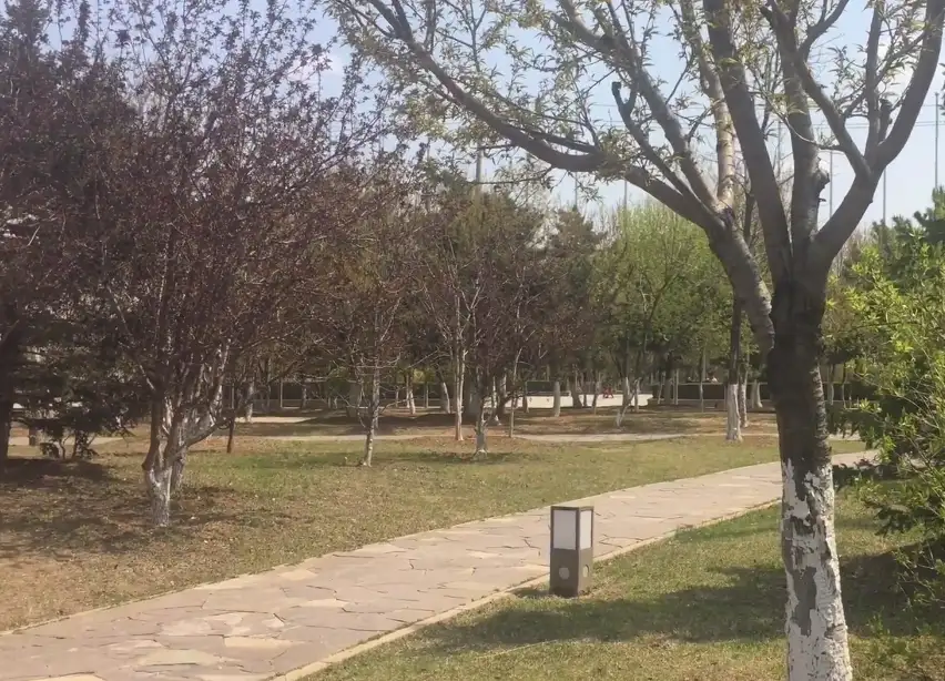image.webp