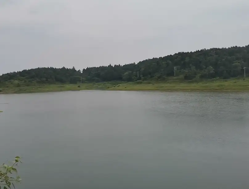 image.webp