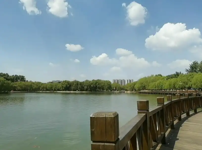 image.webp