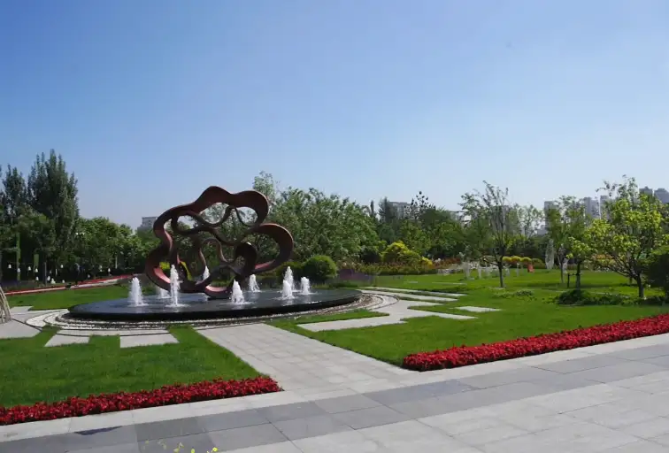 image.webp