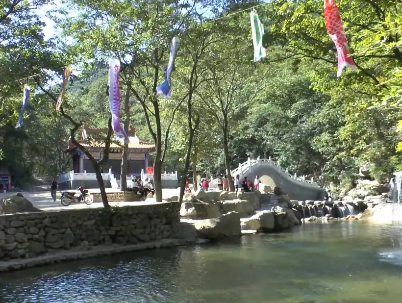 image.webp