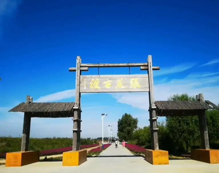 image.webp