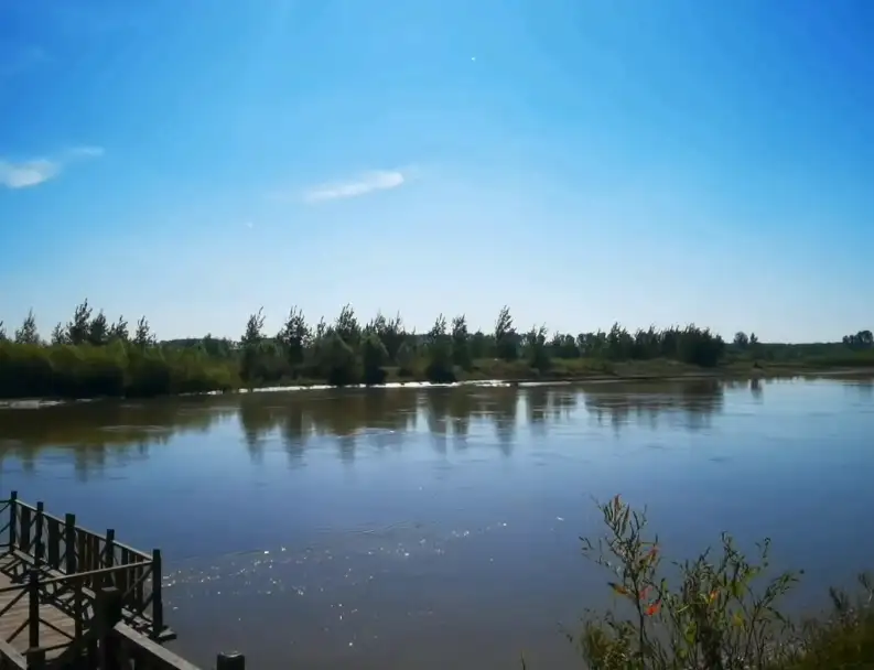image.webp