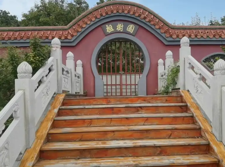 image.webp