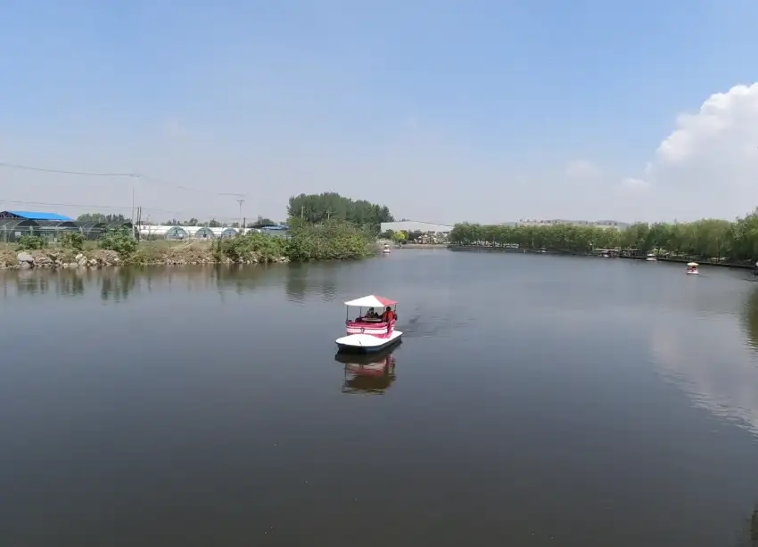 image.webp