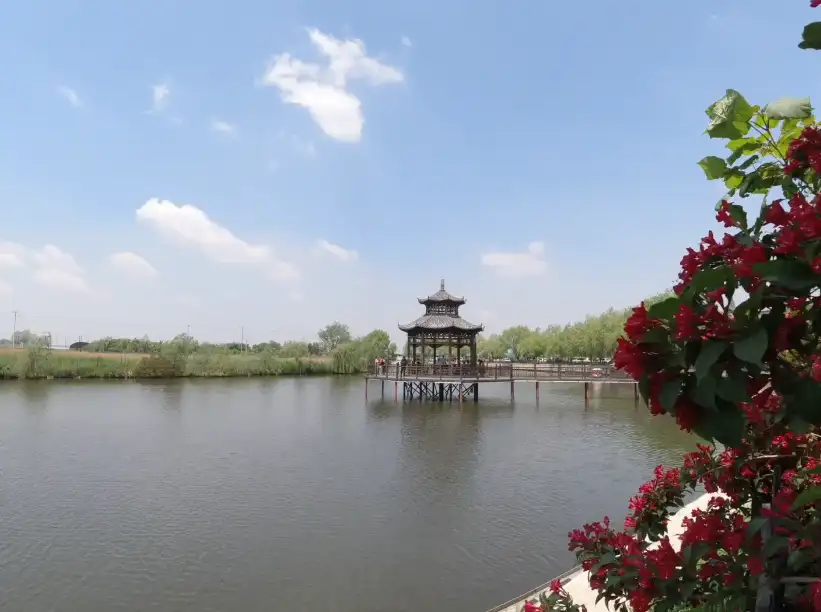 image.webp