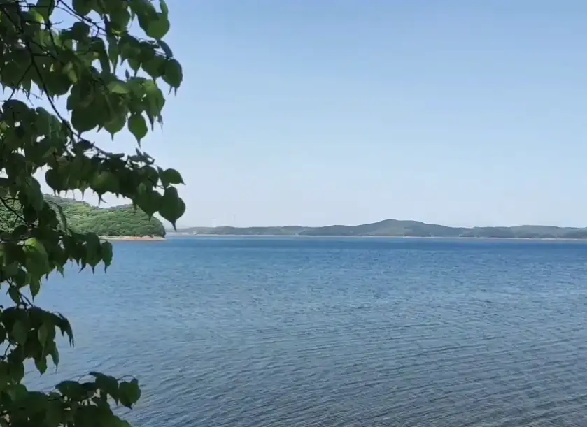image.webp