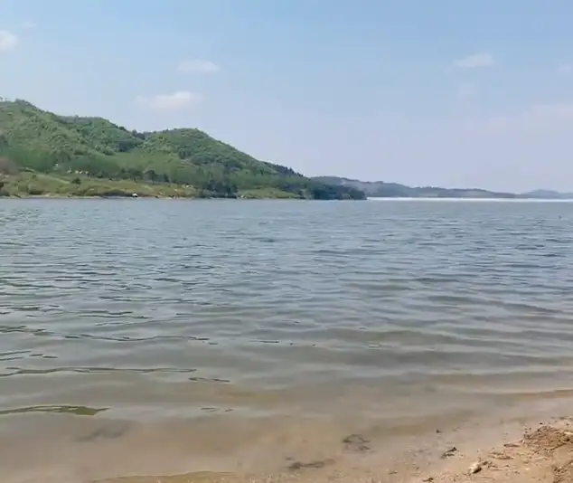 image.webp