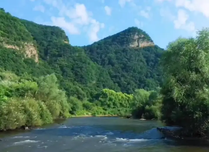 image.webp
