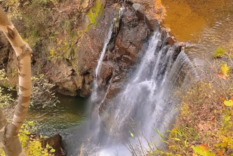 image.webp