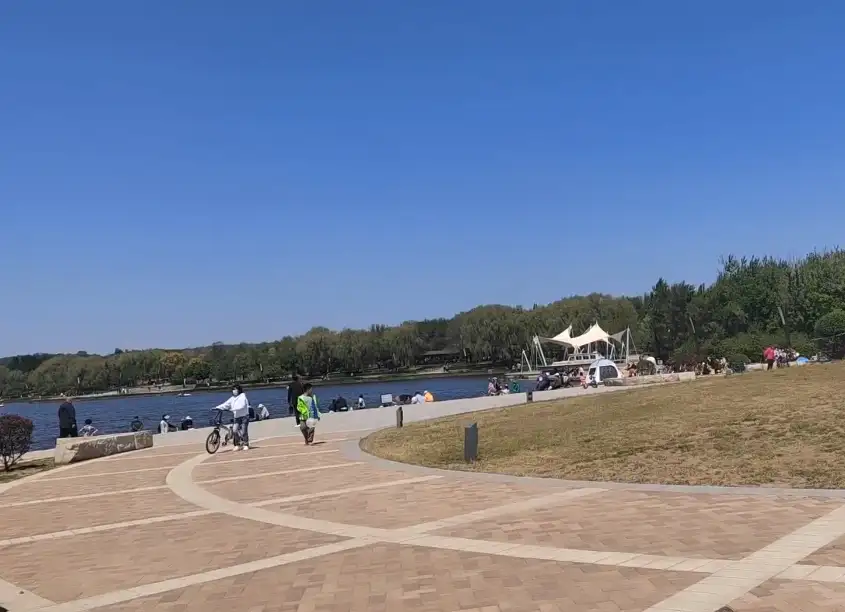 image.webp