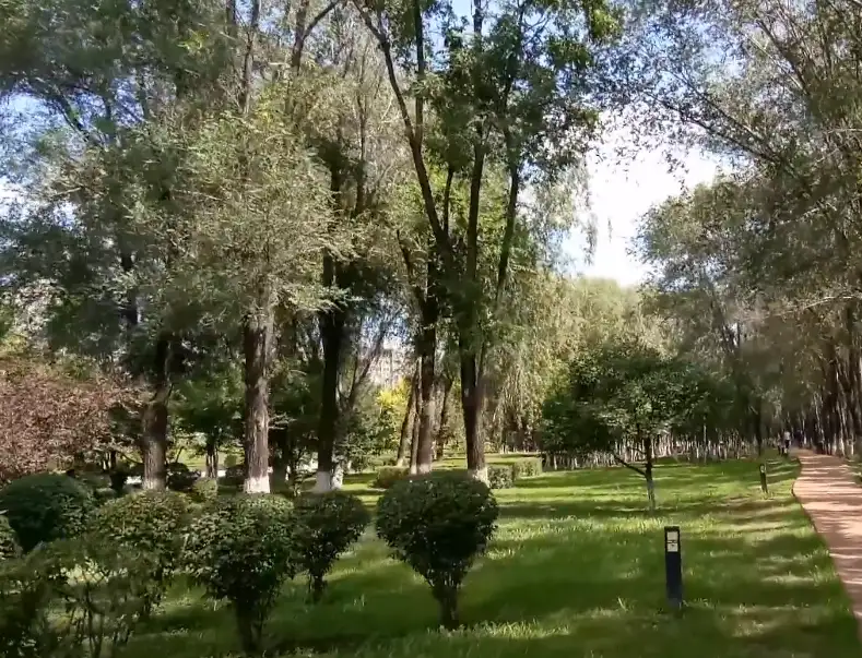 image.webp