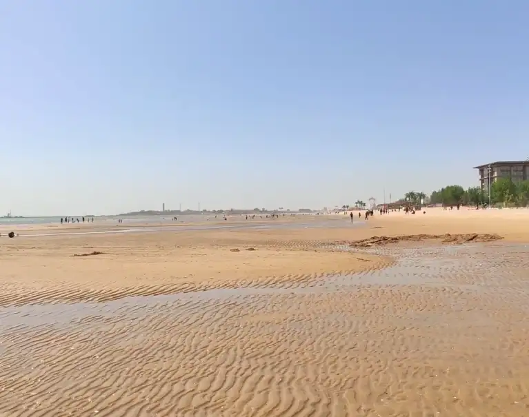 image.webp