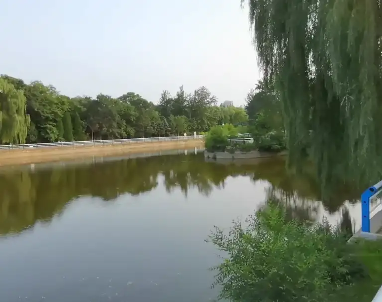 image.webp