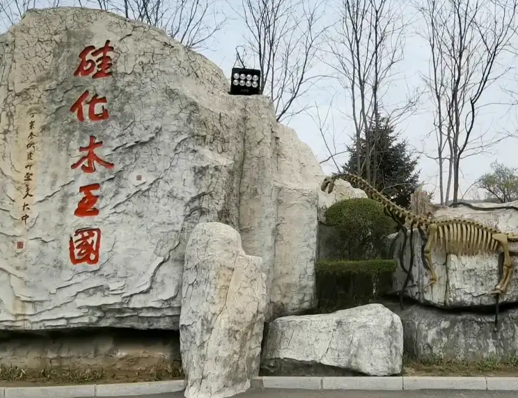 image.webp
