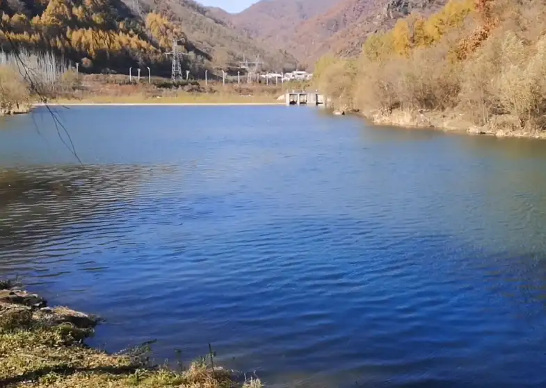 image.webp