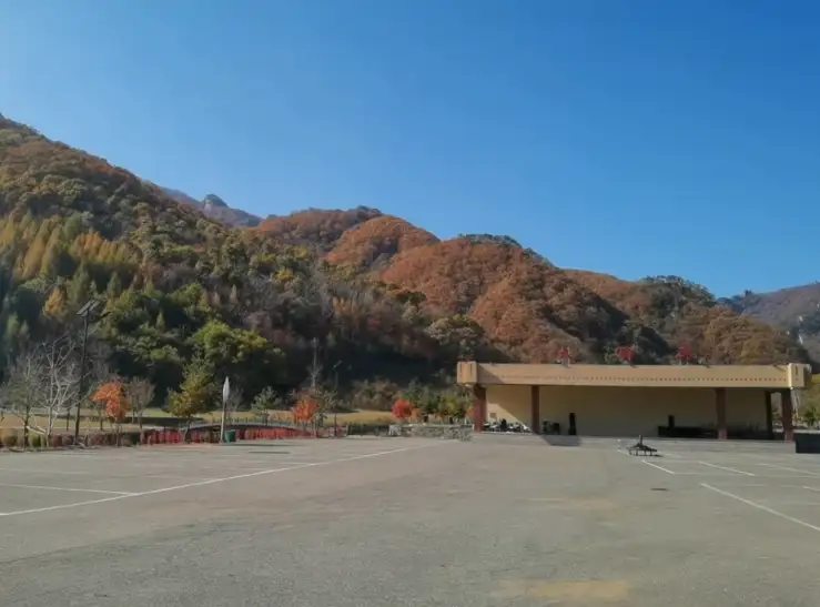 image.webp