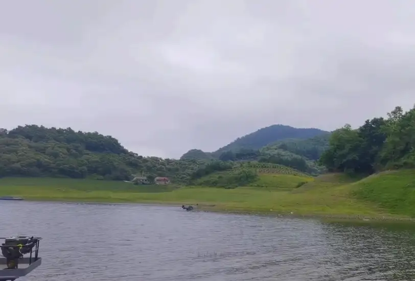 image.webp