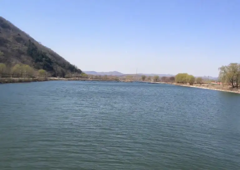 image.webp