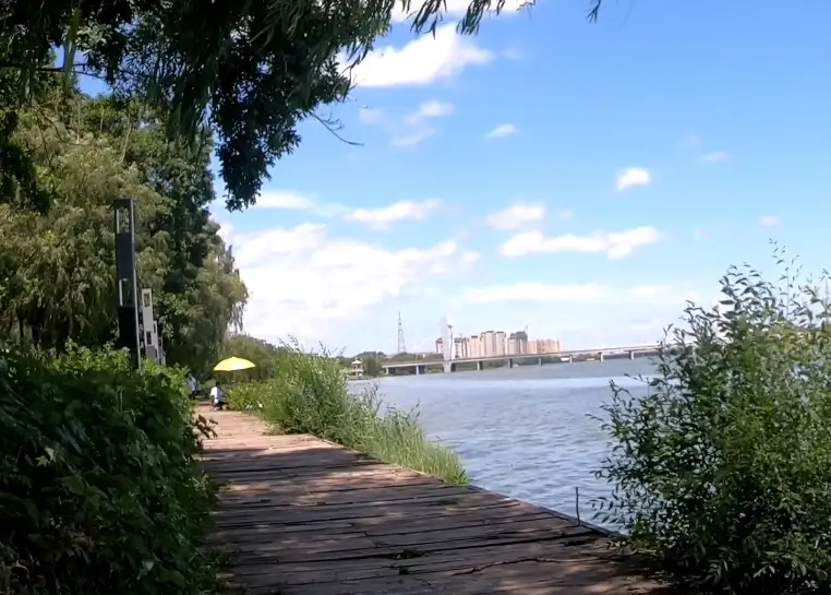 image.webp