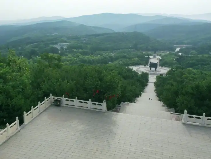 image.webp