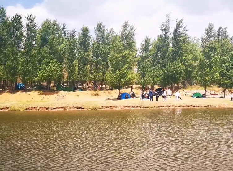 image.webp