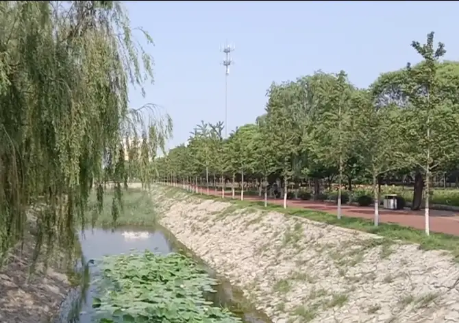 image.webp
