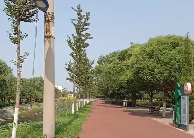 image.webp