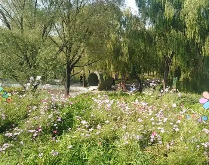 image.webp