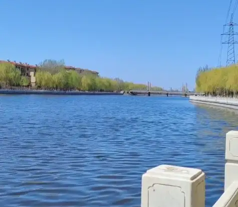 image.webp