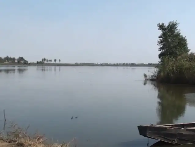 image.webp
