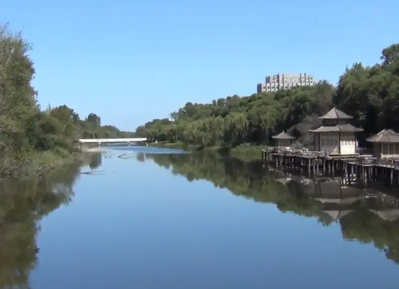 image.webp