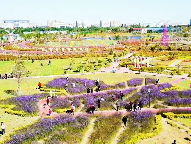 image.webp
