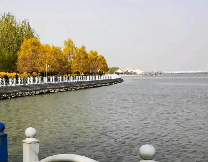 image.webp