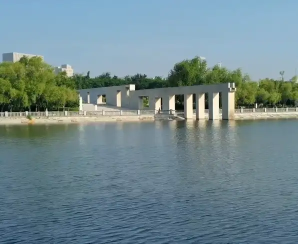 image.webp