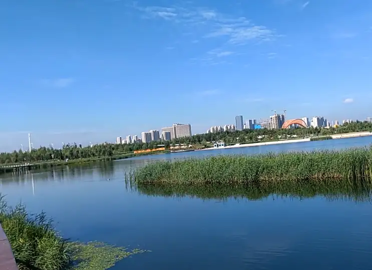 image.webp